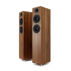 ACOUSTIC ENERGY AE309 Grīdas akustiskā sistēma