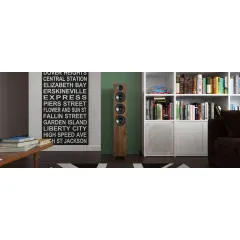 ACOUSTIC ENERGY AE320 Grīdas akustiskā sistēma