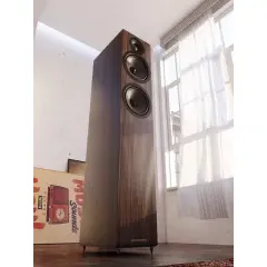 ACOUSTIC ENERGY AE109² Grīdas akustiskā sistēma