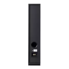 ARGON AUDIO FORUS 55 BLACK Grīdas akustiskā sistēma