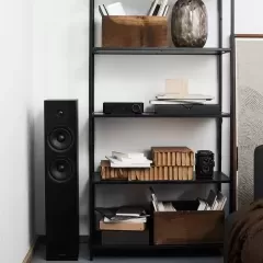 ARGON AUDIO FORUS 55 BLACK Grīdas akustiskā sistēma