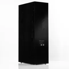 PYLON AUDIO RUBY 30 NATURAL VENEER OAK BLACK Grīdas akustiskā sistēma