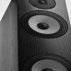 PYLON AUDIO RUBY 30 NATURAL VENEER OAK BLACK Grīdas akustiskā sistēma