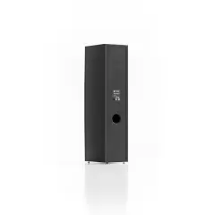 PYLON AUDIO SAPPHIRE 31 PCV BLACK ASH Grīdas akustiskā sistēma