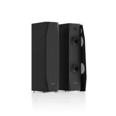 PYLON AUDIO SAPPHIRE 25 PCV BLACK ASH Grīdas akustiskā sistēma