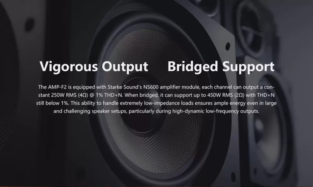 EVERSOLO AMP-F2 BLACK JAUDAS STEREO PASTIPRINĀTĀJS