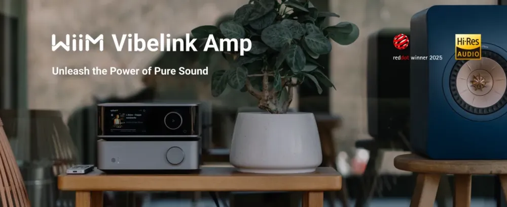 WIIM VIBELINK AMP GRAY STEREO PASTIPRINĀTĀJS