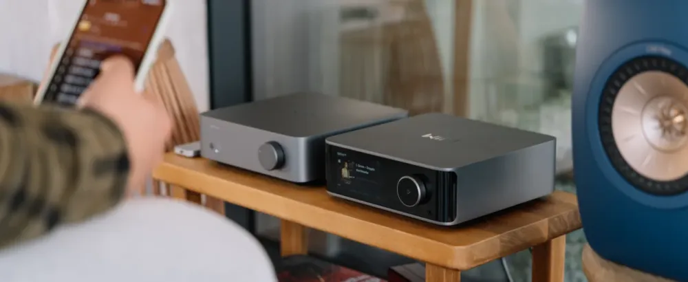 WIIM VIBELINK AMP GRAY STEREO PASTIPRINĀTĀJS