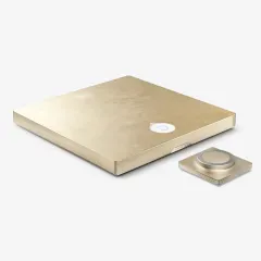 DEVIALET ASTRA Opéra de Paris GOLD LEAF STEREO PASTIPRINĀTĀJS