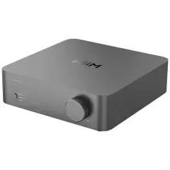 WIIM VIBELINK AMP GRAY STEREO PASTIPRINĀTĀJS