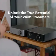 WIIM VIBELINK AMP GRAY STEREO PASTIPRINĀTĀJS