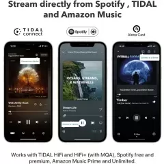 WiiM Mini Streamer TĪKLA ATSKAŅOTĀJS