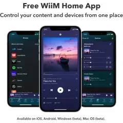 WiiM Mini Streamer TĪKLA ATSKAŅOTĀJS