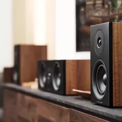 ARGON AUDIO FORUS 4 WALNUT Plaukta akustiskā sistēma