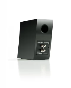 PYLON AUDIO JASPER MONITOR 18 LACQUER MAT BLACK Plaukta akustiskā sistēma