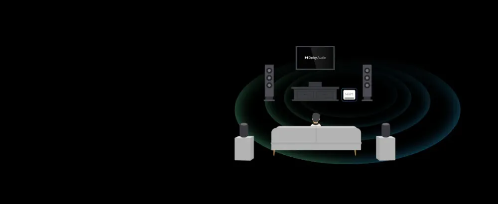 WiiM SUB PRO BLACK Sabvūferis