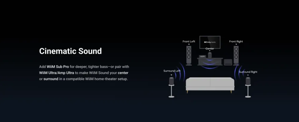 WiiM SOUND BLACK Bezvadu akustiskā sistēma