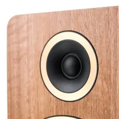ARGON AUDIO FENRIS A55 WALNUT Aktīvā akustiskā sistēma