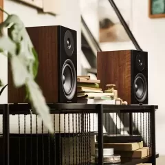 ARGON AUDIO SA1 MK2 BLACK / FORUS 4 WALNUT Komplekts