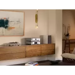 MARANTZ MODEL 50 / CD 50n SILVER/GOLD Stereo pastiprinātāja / CD tīkla atskaņotāja Komplekts