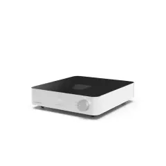 FEZZ AUDIO EQUINOX DAC by Lampizator CIPARU ANALOGAIS PĀRVEIDOTĀJS (DAC)